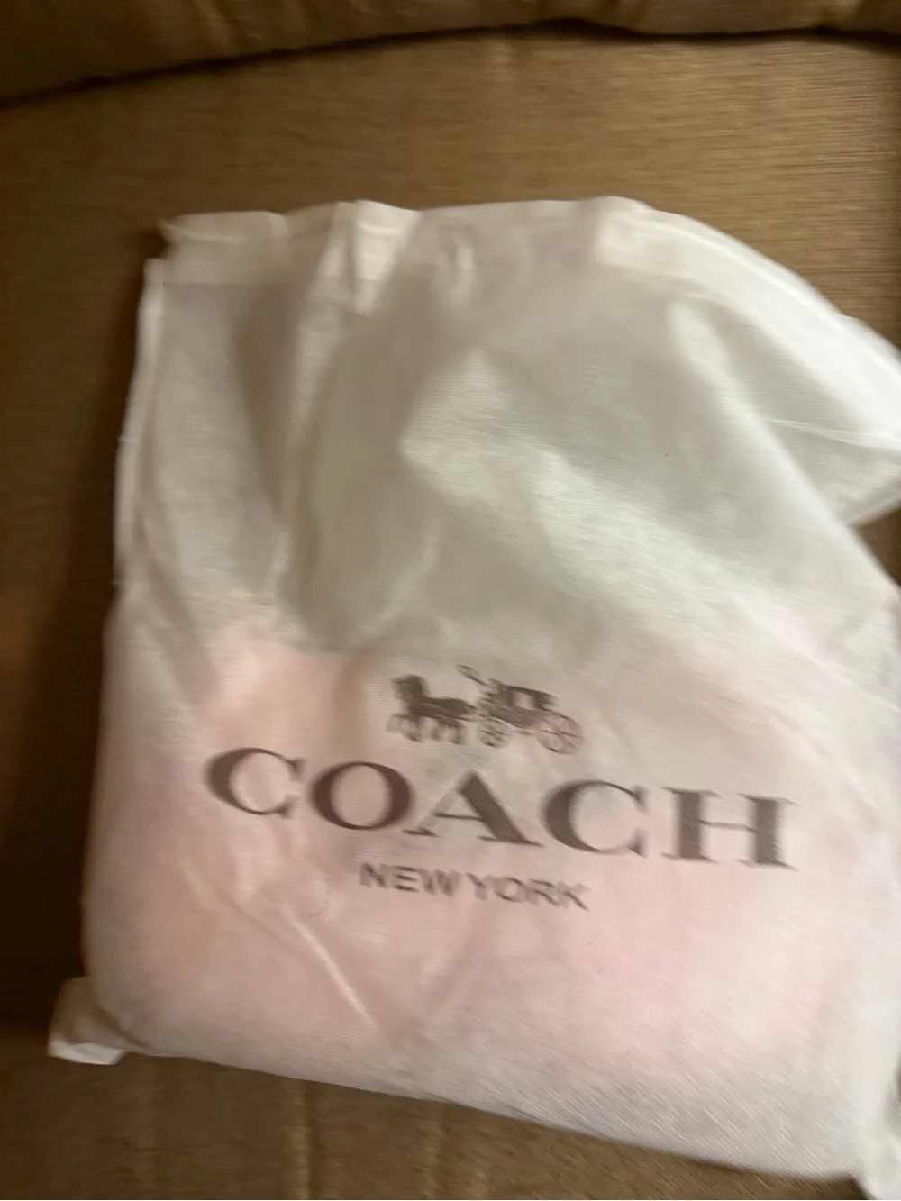 Coach Pink Shoulder Hobo with Gold Hardware